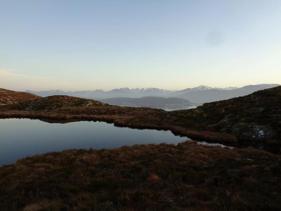 Leilighet I Enebolig Pa Valderoya Ved Alesund Ytterland Dış mekan fotoğraf